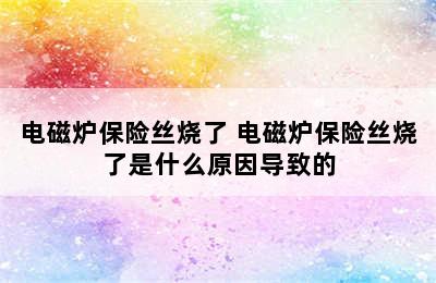 电磁炉保险丝烧了 电磁炉保险丝烧了是什么原因导致的